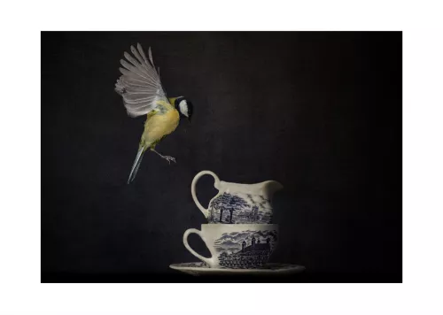 Artmuze Coal Tit (300499)