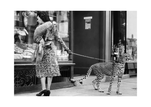 Artmuze Woman with cheetah (300284)