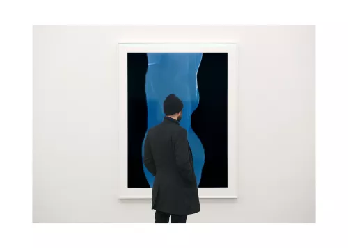 Artmuze Admiring Blue2-gent (300247)