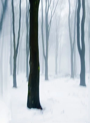 Werelden In Zwart Wit